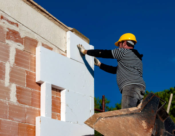 Best Energy-efficient Insulation  in Rock Hill, MO