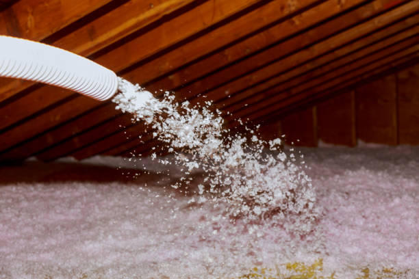 Best Insulation Removal  in Rock Hill, MO