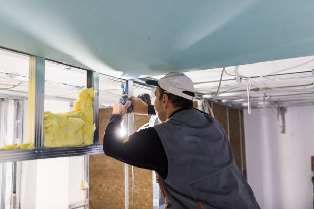 Best Insulation Contractors for Homes  in Rock Hill, MO