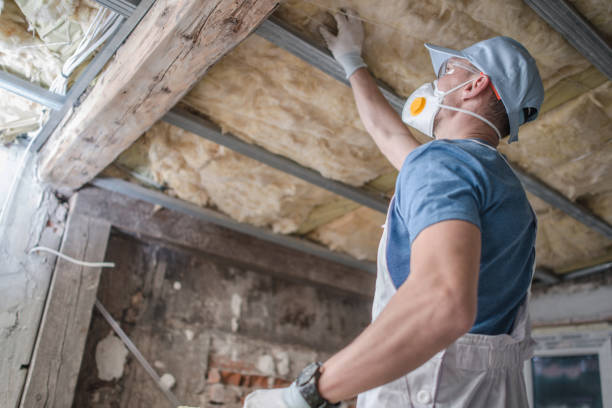 Best Insulation for New Construction  in Rock Hill, MO