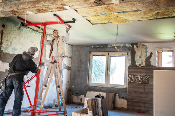 Best Best Insulation Companies  in Rock Hill, MO