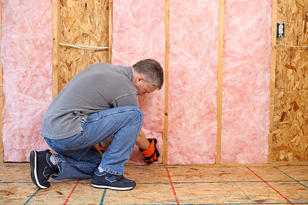 Best Crawl Space Insulation  in Rock Hill, MO