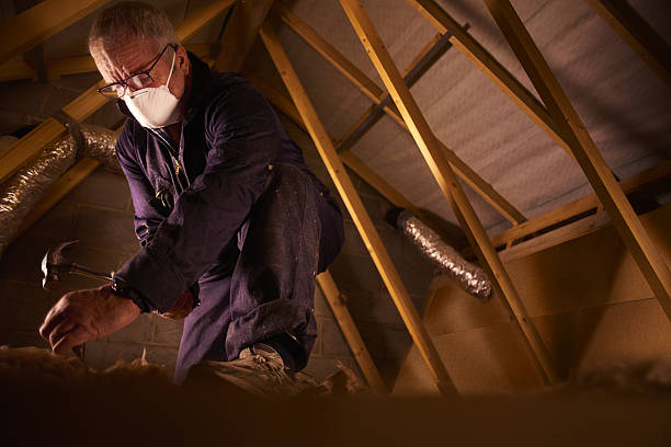 Best Insulation Replacement Services  in Rock Hill, MO